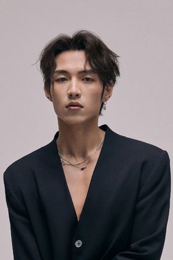 杨业明 